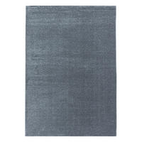 HOCHFLORTEPPICH 80/150 cm Rio 4600 silber Silberfarben  - Silberfarben, Basics, Textil (80/150cm)