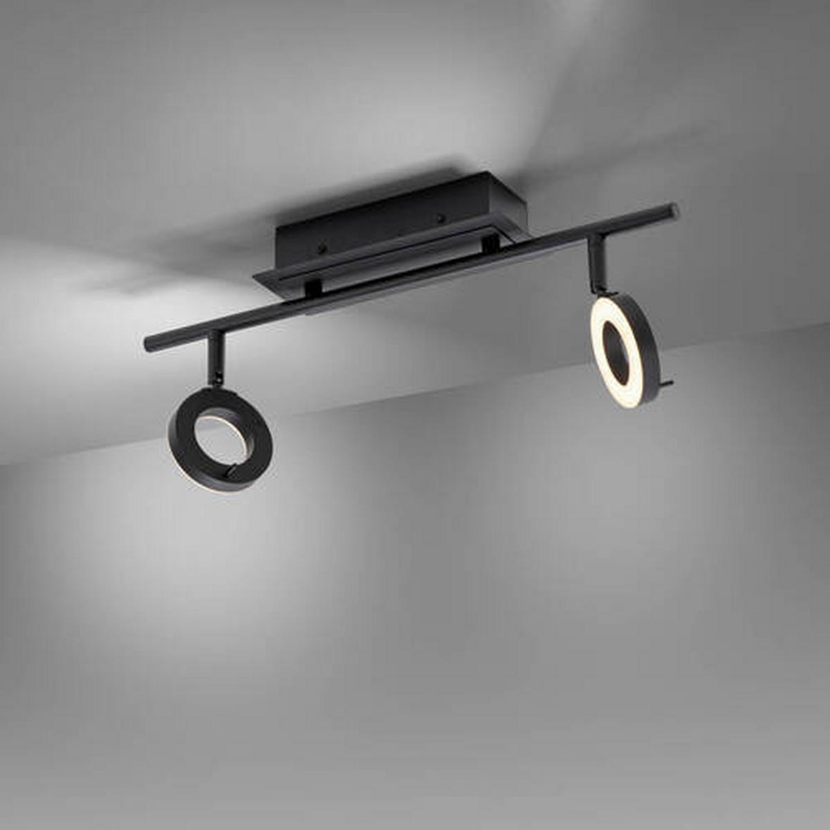 BADEZIMMER-DECKENLEUCHTE    50,5/18/19 cm  - Anthrazit, Design, Kunststoff/Metall (50,5/18/19cm) - Paul Neuhaus
