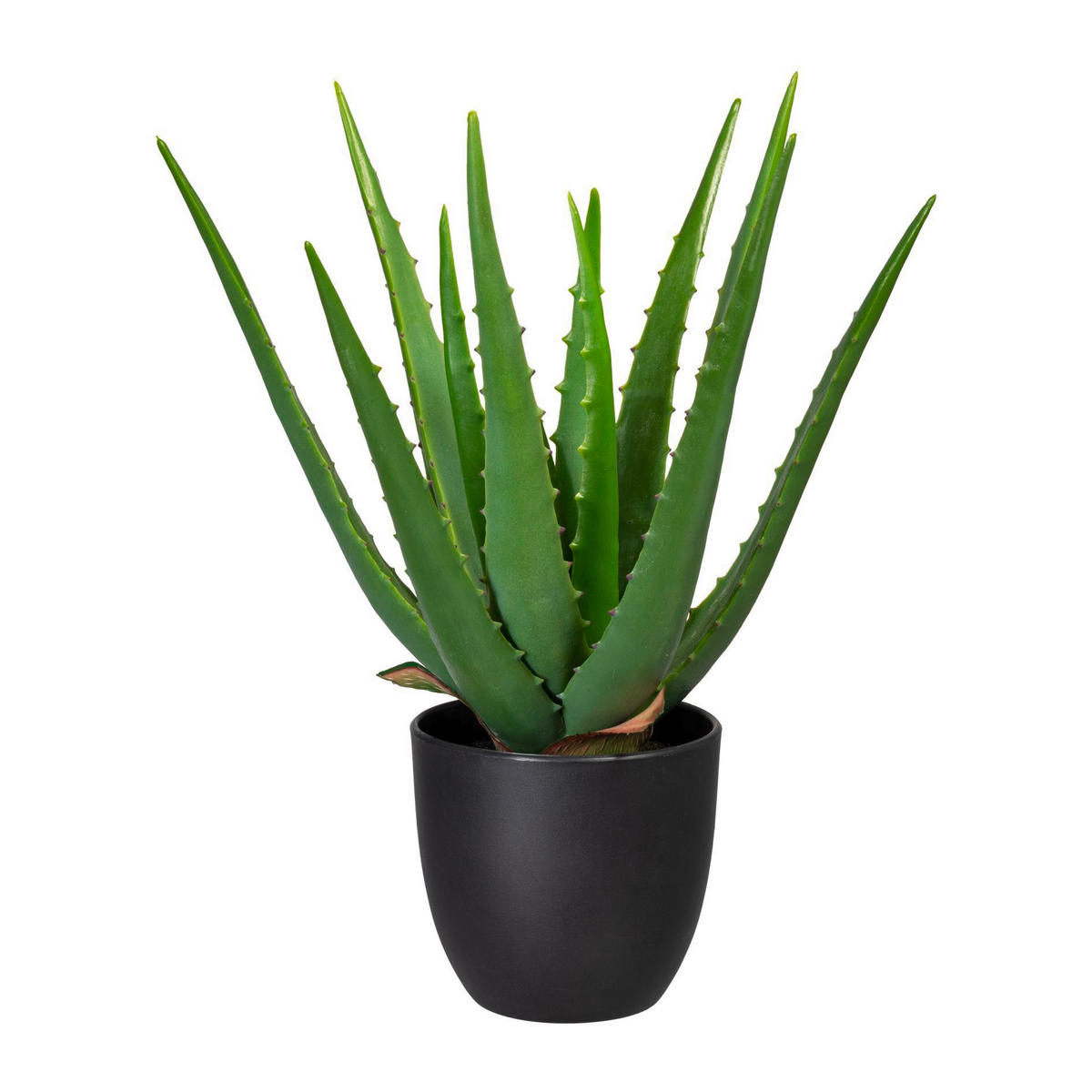 ALOE VERA Aloe Vera 33 cm  - Schwarz/Grün, Trend, Kunststoff (33cm) - P & B