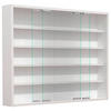 HÄNGEVITRINE in Weiss  - Weiss/Silberfarben, Modern, Glas/Holzwerkstoff (77/60/10cm) - MID.YOU