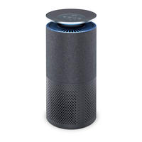 LUFTREINIGER - Grau, Basics (29.2/55.7/29cm) - Beurer