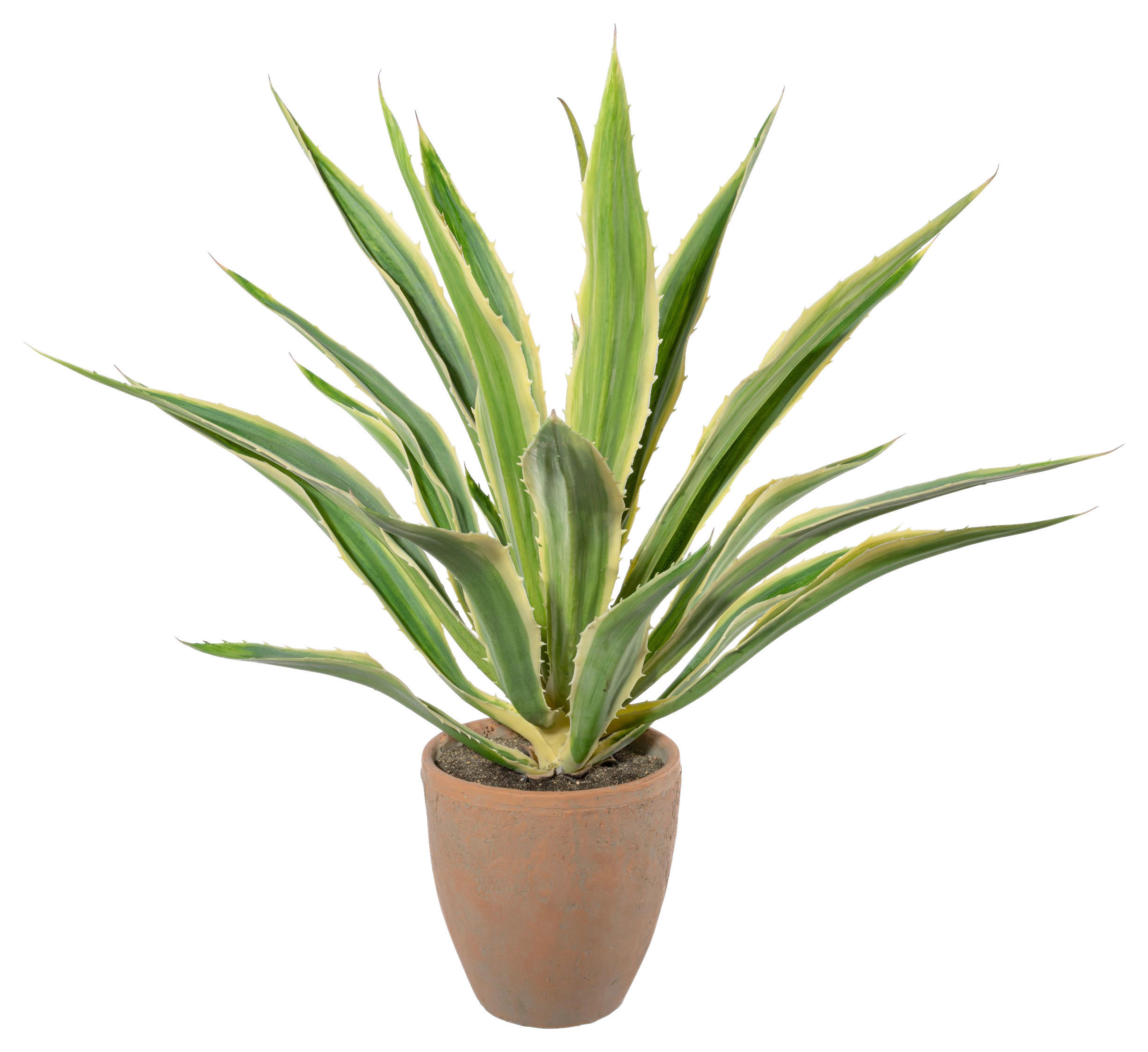 KUNSTPFLANZE Agave 85 cm - Creme/Naturfarben, Design, Keramik/Kunststoff (85cm) - P & B