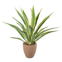 KUNSTPFLANZE Agave 85 cm  - Creme/Naturfarben, Design, Keramik/Kunststoff (85cm) - P & B