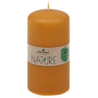 STUMPENKERZE  - Honig, Basics, Naturmaterialien (5,7/11,0cm) - Steinhart