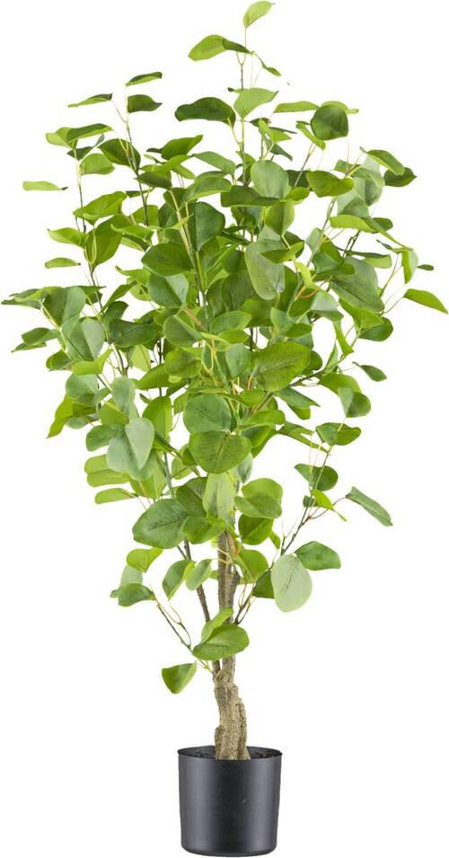 KUNSTPFLANZE Eukalyptus 90 cm - Braun/Grün, Design, Kunststoff (90cm) - P & B