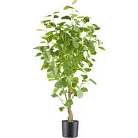 KUNSTPFLANZE Eukalyptus 90 cm  - Braun/Grün, Design, Kunststoff (90cm) - P & B