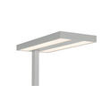 LED-STEHLEUCHTE 61/28/195 cm    - Klar/Chromfarben, KONVENTIONELL, Kunststoff/Metall (61/28/195cm) - Novel