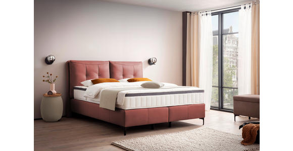 BOXSPRINGBETT 180/200 cm in Bordeaux - Bordeaux/Schwarz, Design, Leder/Holz (180/200cm) - Novel