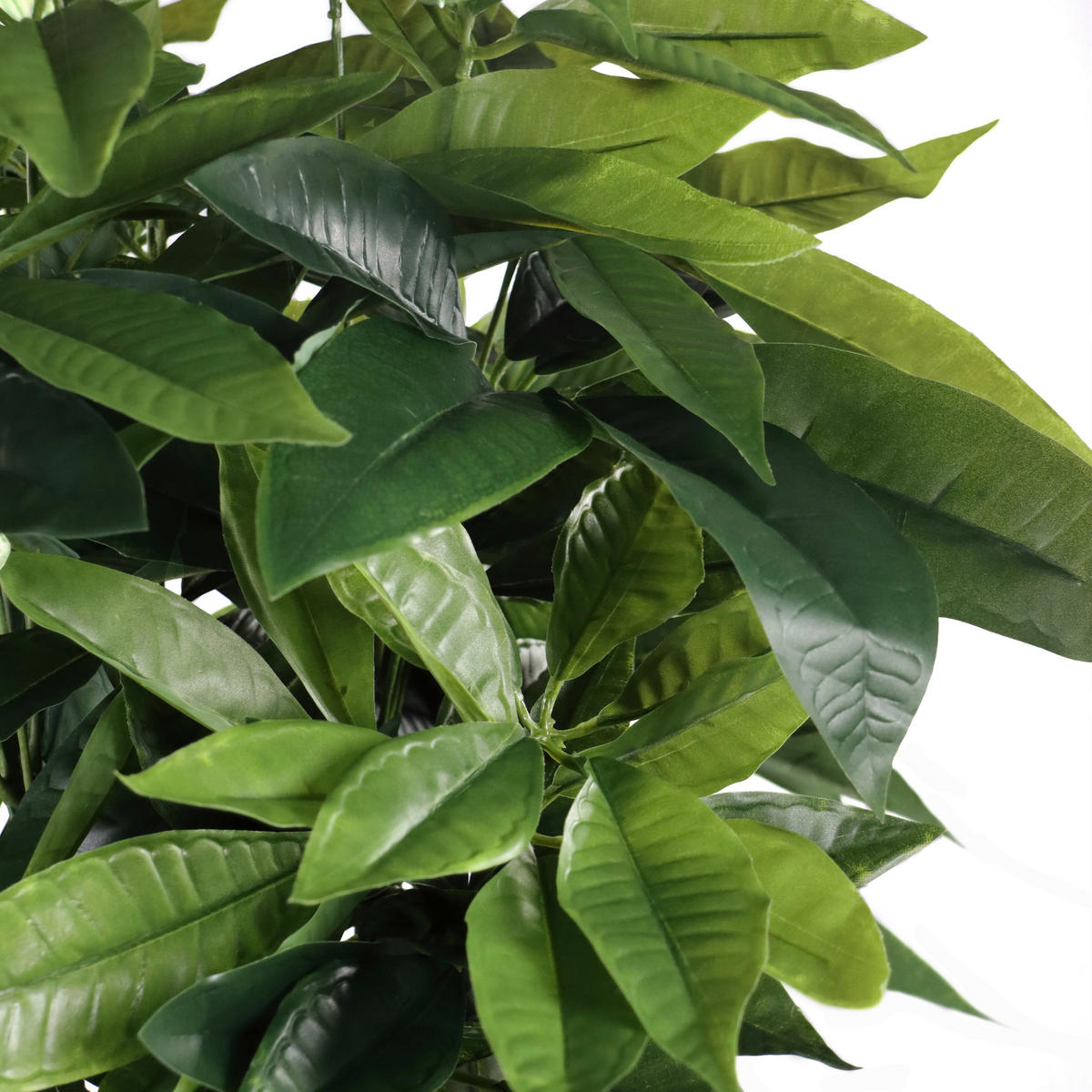 UMĚLÁ ROSTLINA pachira aquatica  - černá/zelená, Moderní, plast (66/160/77cm) - MID.YOU