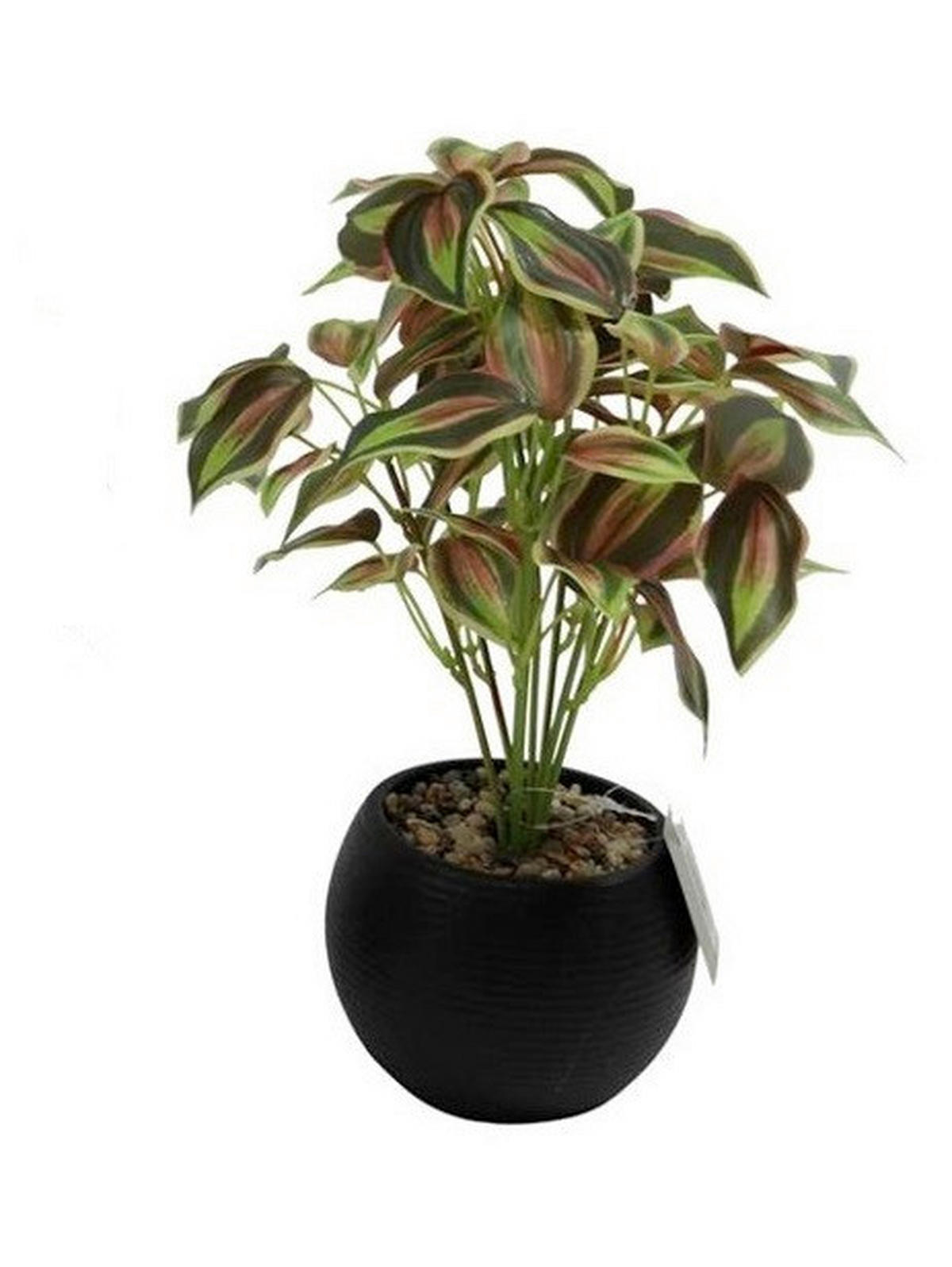 VEŠTAČKA BILJKA          31 cm    - zelena/tamnozelena, Osnovno, plastika (31cm)