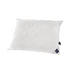 POLSTER 40/60 cm - Basics (40/60cm) - Billerbeck POLSTER 40/60 cm - Basics (40/60cm) - Billerbeck