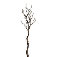OKRASNA VEJICA - rjava, Basics, umetna masa (10,00/76,00/10,00cm) - Leonardo