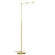 LESELEUCHTE 24/146 cm   - Goldfarben/Weiß, KONVENTIONELL, Kunststoff/Metall (24/146cm) - Novel