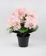 MŰNÖVÉNY - fekete/rózsaszín, Basics, műanyag