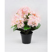 MŰNÖVÉNY - fekete/rózsaszín, Basics, műanyag