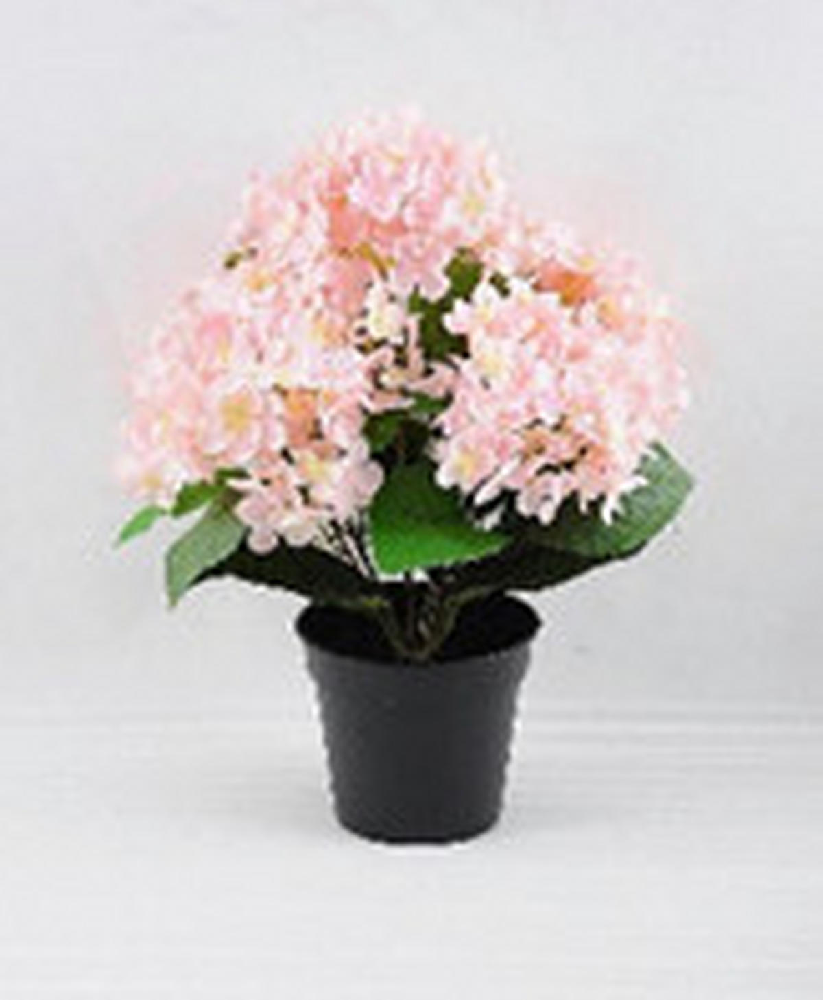 MŰNÖVÉNY - fekete/rózsaszín, Basics, műanyag