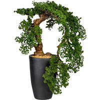 KUNSTPFLANZE Bonsai 90 cm  - Schwarz/Braun, Design, Keramik/Kunststoff (90cm) - P & B