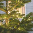 LICHTERKETTE 36 METER - Basics (3600cm) LICHTERKETTE 36 METER - Basics (3600cm)