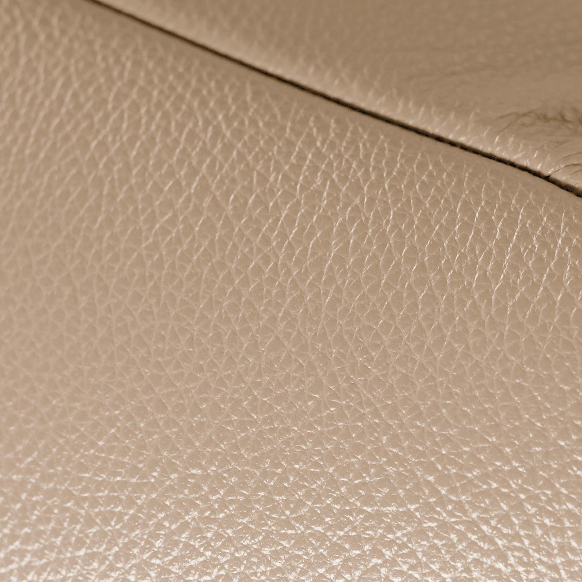 RELAXLIEGE in Echtleder Braun  - Silberfarben/Braun, Design, Leder/Metall (65/65-95/171cm) - Livetastic