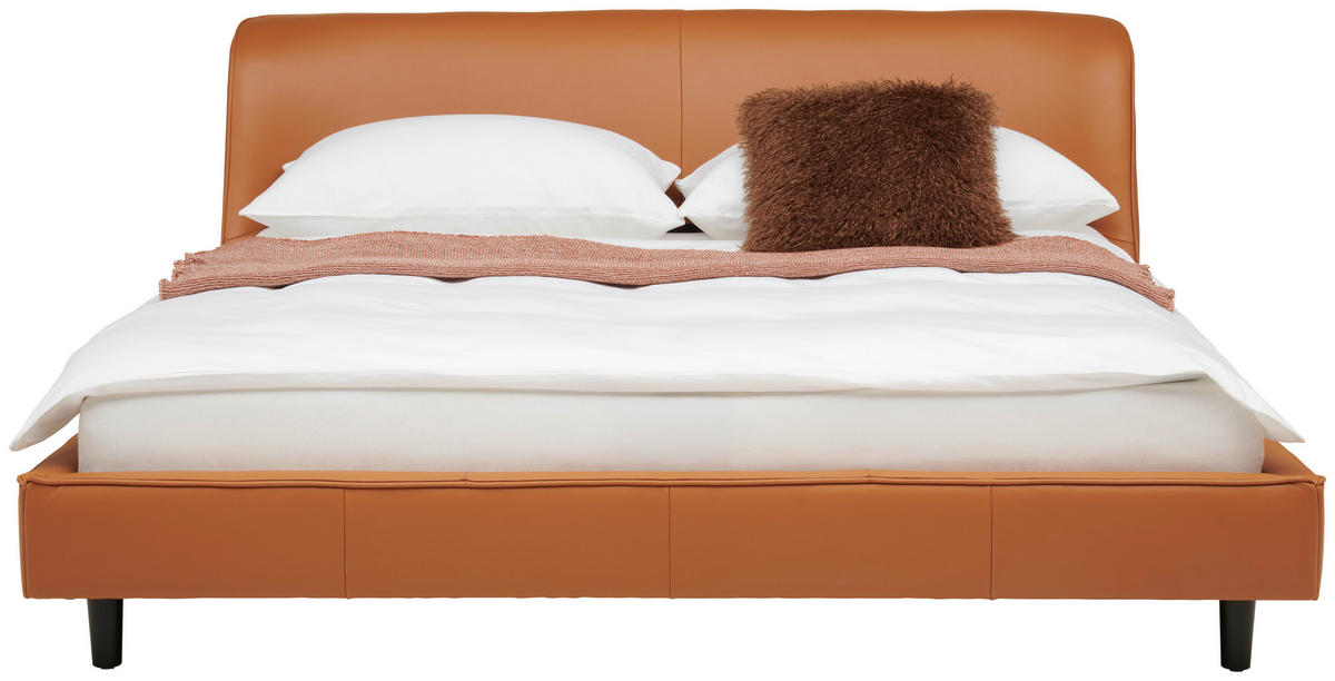 TAPECIRANI KREVET   180/200 cm   smeđa  - crna/smeđa, Moderno, koža/drvo (180/200cm) - Livetastic