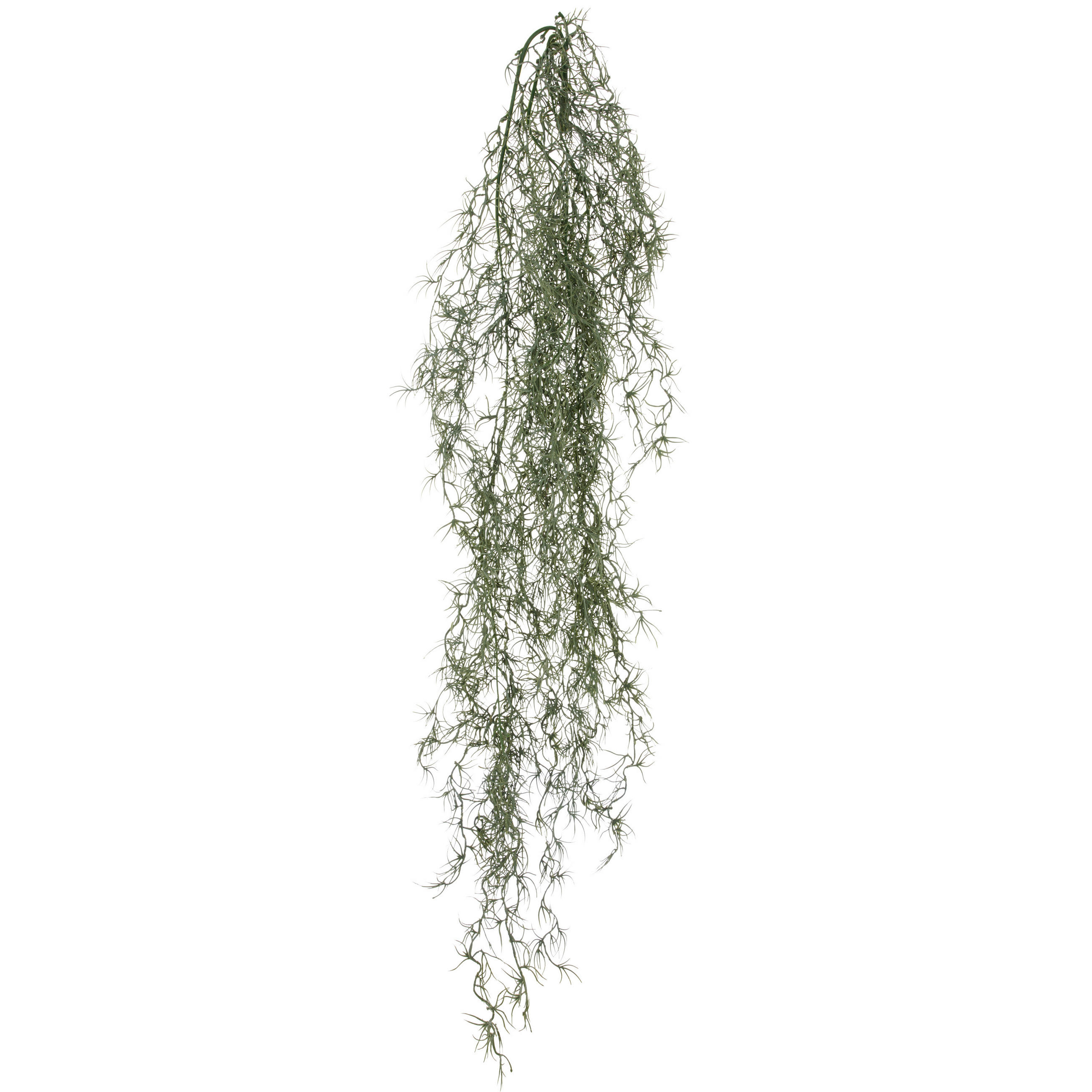 KUNSTPFLANZE Tillandsie  - Grau/Grün, Basics, Kunststoff (25/120/20cm) - P & B