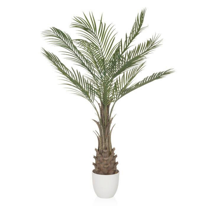 MID.YOU KUNSTPFLANZE Drachenbaum jetzt nur online  XXXLutz.de