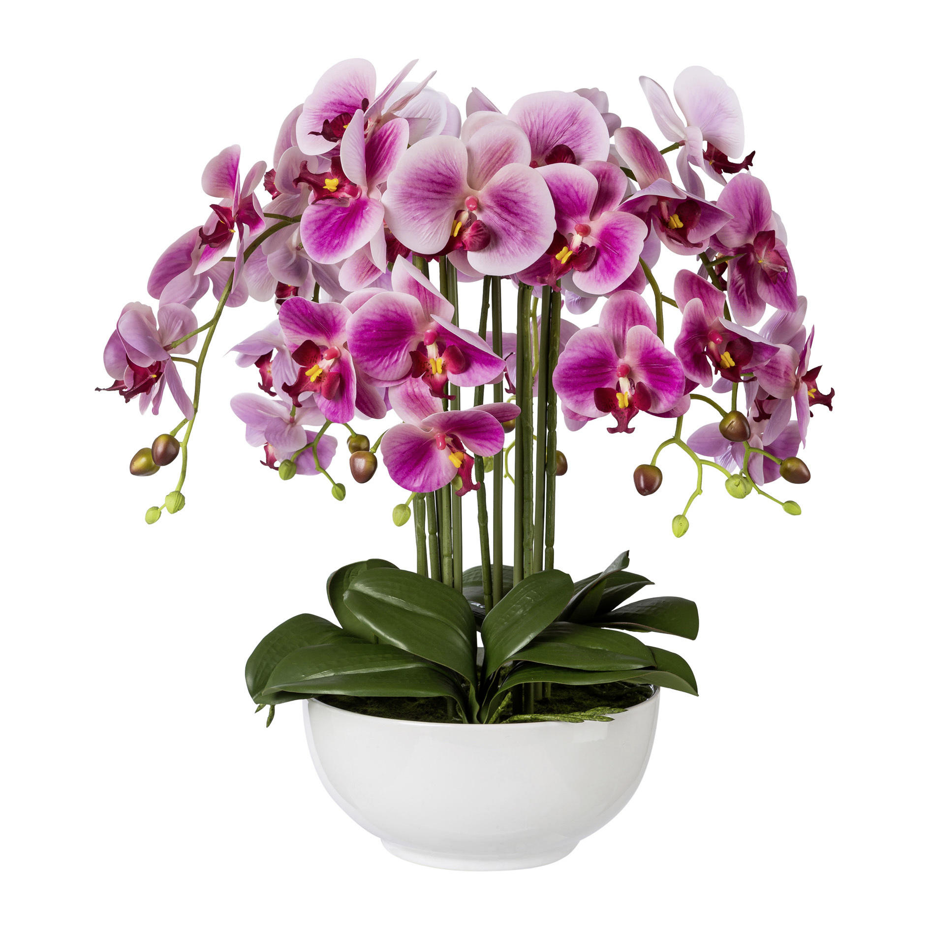 KUNSTBLUME Orchidee  - Magenta/Grün, Trend, Kunststoff (54cm) - MID.YOU