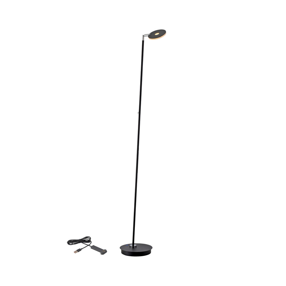 AKKU-STEHLEUCHTE Bente 42/42/160 cm  - Schwarz, Design, Kunststoff/Metall (42/42/160cm) - Paul Neuhaus