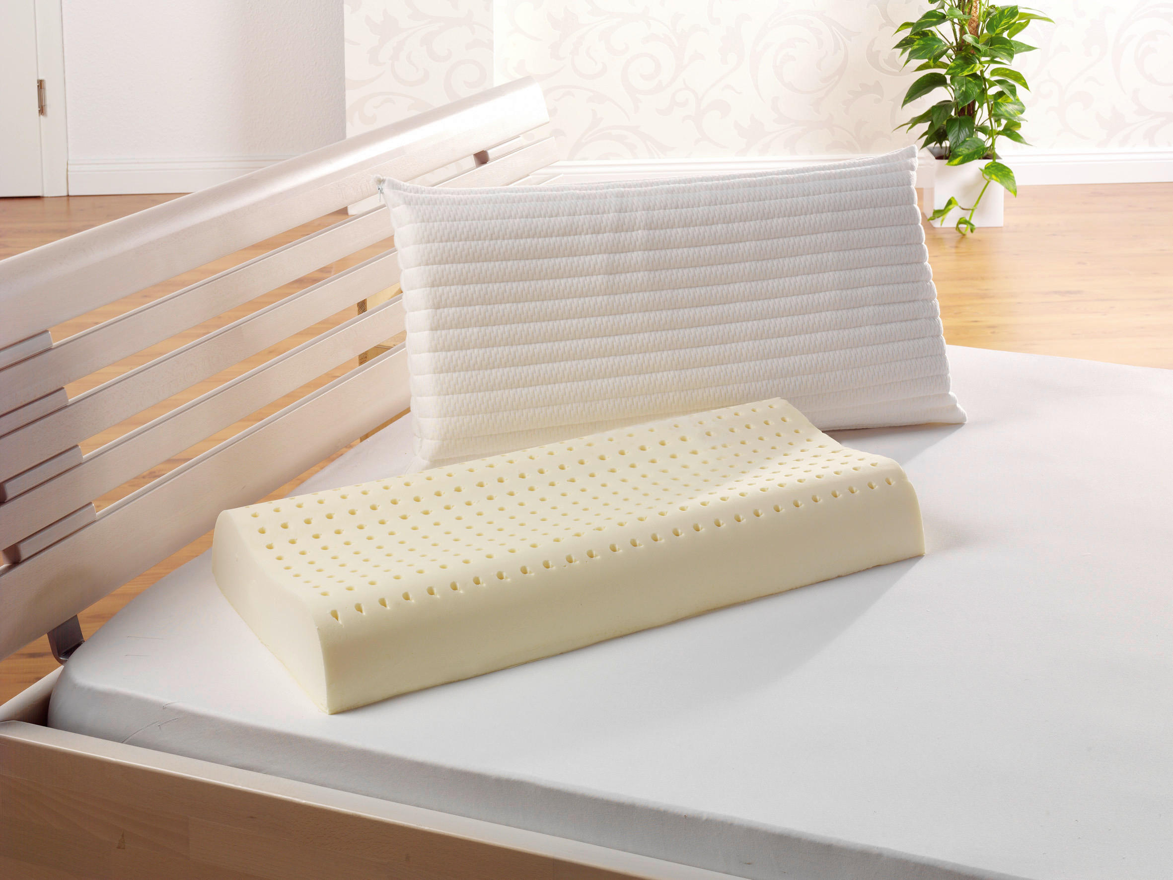 NACKENSTÜTZKISSEN  40/80 cm  - Basics (40/80cm) - FAN