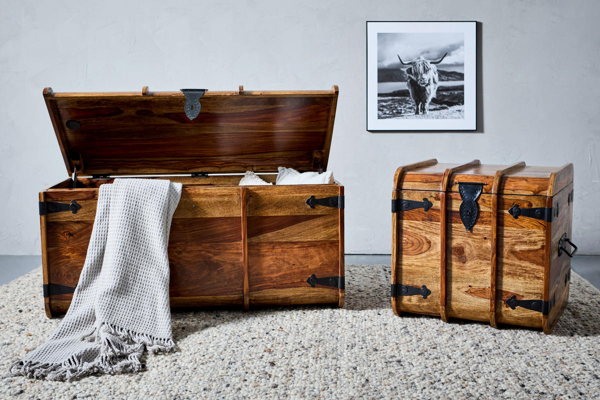 TRUHE Holz Sheesham Hartholz  - Sheeshamfarben, KONVENTIONELL, Holz (50/50/50cm) - Livetastic