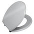 WC-SITZ Silberfarben - Silberfarben, Basics (38/5,5/46cm) WC-SITZ Silberfarben - Silberfarben, Basics (38/5,5/46cm)