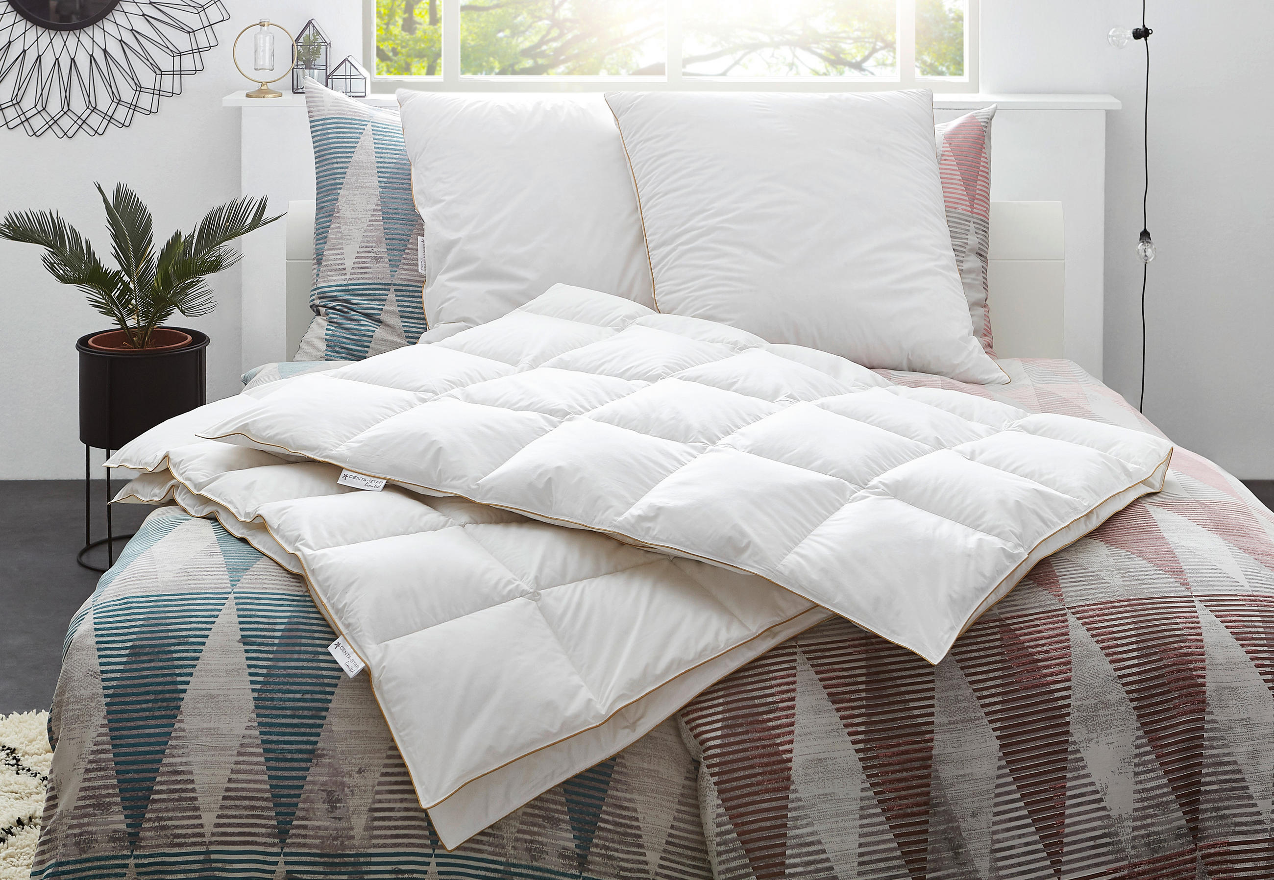 DAUNENDECKE  Golden Fame  155/220 cm   - Weiß, Basics, Textil (155/220cm) - Centa-Star