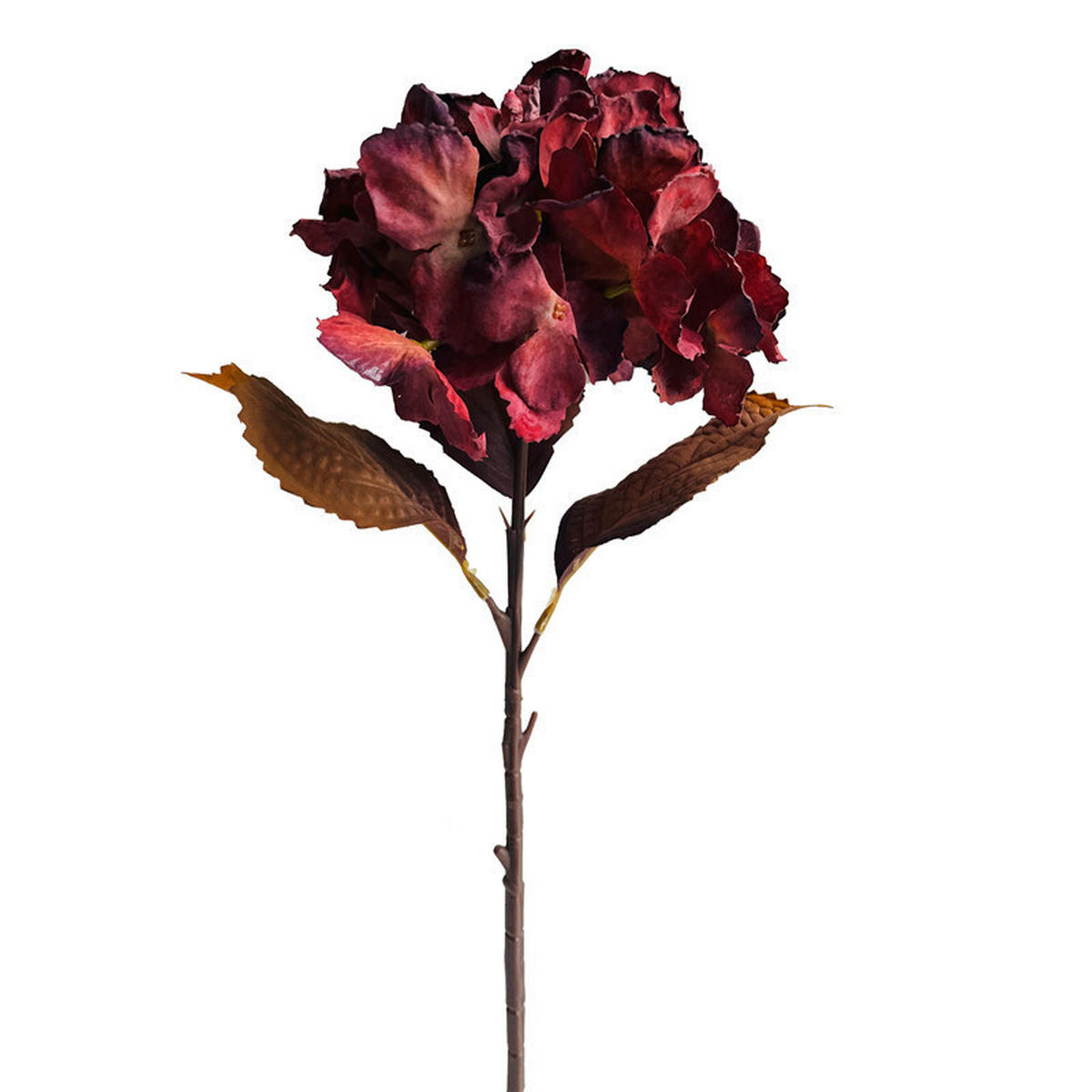 HORTENZIA 48 cm - Natur (48cm)