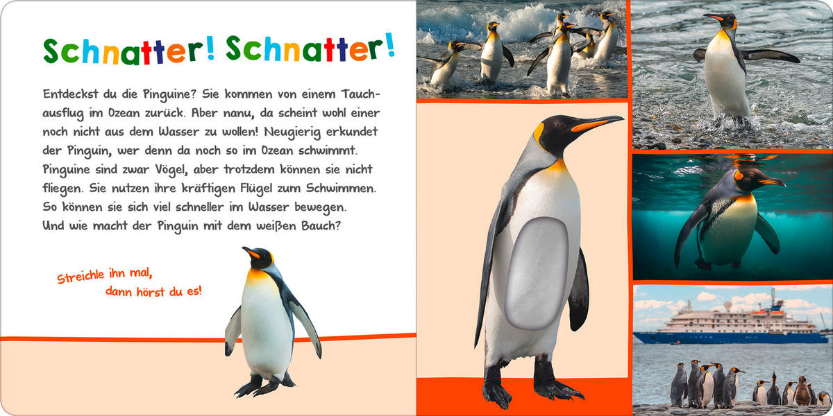 SOUND- UND FÜHLBUCH - Basics (19,7/19,7/1,8cm) - Carlsen