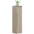 MIDISCHRANK 30/130,8/30 cm - Chromfarben/Grau, Design, Glas/Holzwerkstoff (30/130,8/30cm) - Novel MIDISCHRANK 30/130,8/30 cm - Chromfarben/Grau, Design, Glas/Holzwerkstoff (30/130,8/30cm) - Novel