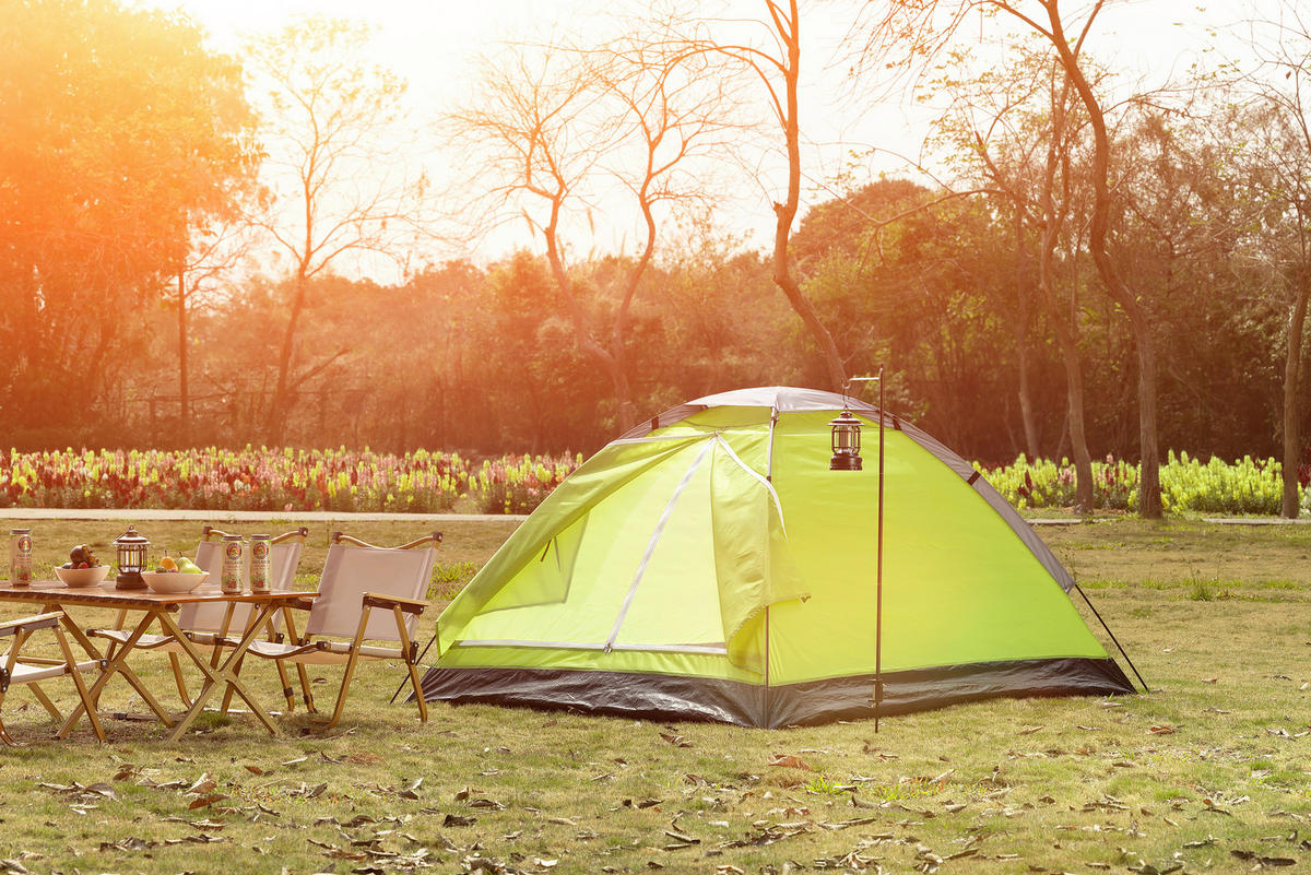 ZELT - Grün, Konventionell, Kunststoff/Textil (205/145/100cm) - Ambia Garden