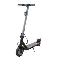 ELEKTROSCOOTER EWA 6000 EKFV  - Hellgrau/Schwarz, KONVENTIONELL, Kunststoff/Metall (116/43/114,5cm)