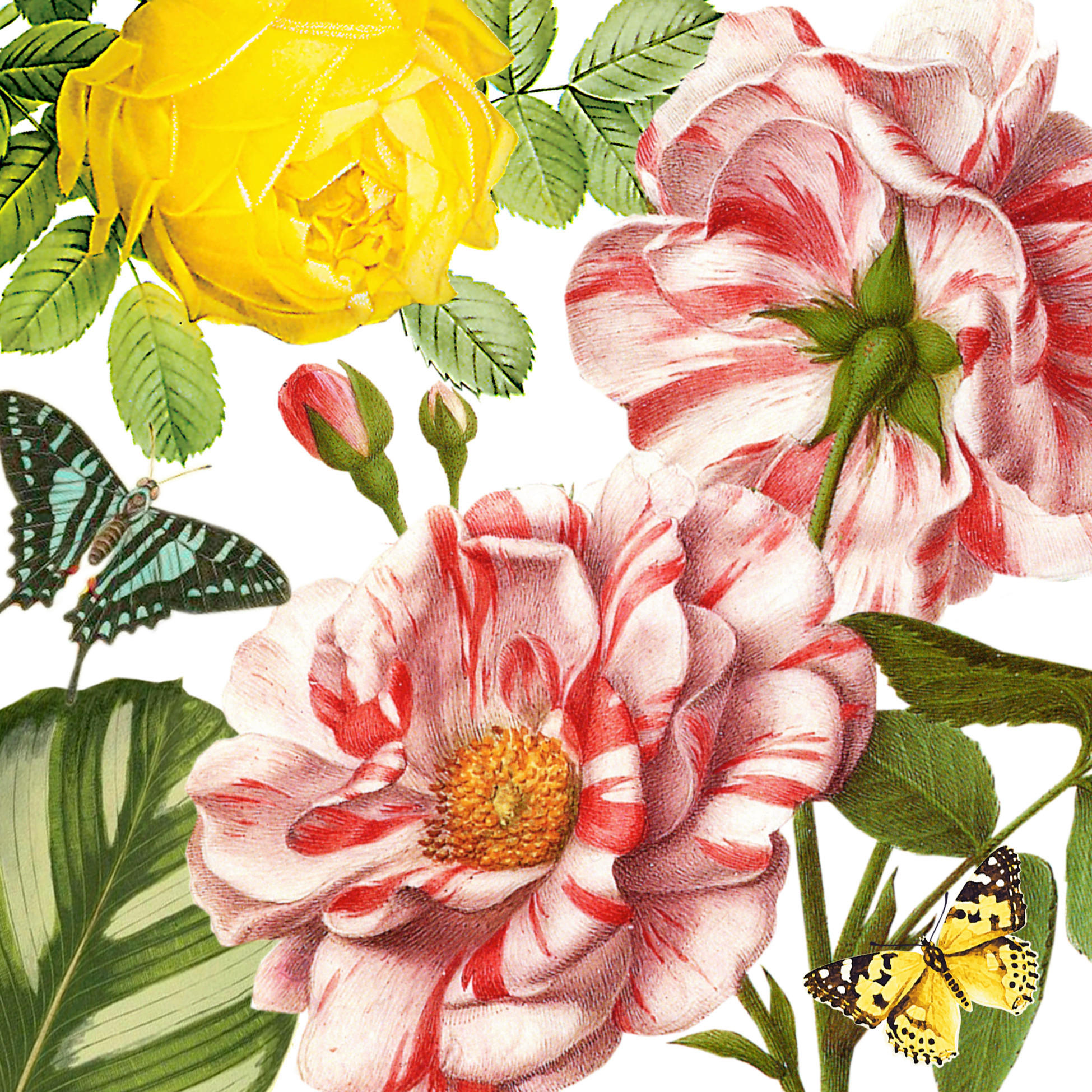 SERVIETTE  33/33 cm   - Multicolor, Basics, Papier (33/33cm)