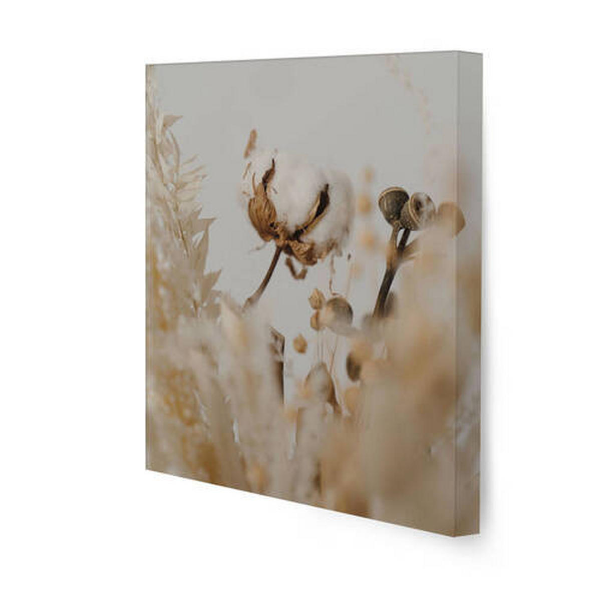KEILRAHMENBILD Tiere, Strand & Meer, Wolken, Landschaft & Natur 60/80/3 cm  - Naturfarben, Basics, Wellpappe/Textil (60/80/3cm)