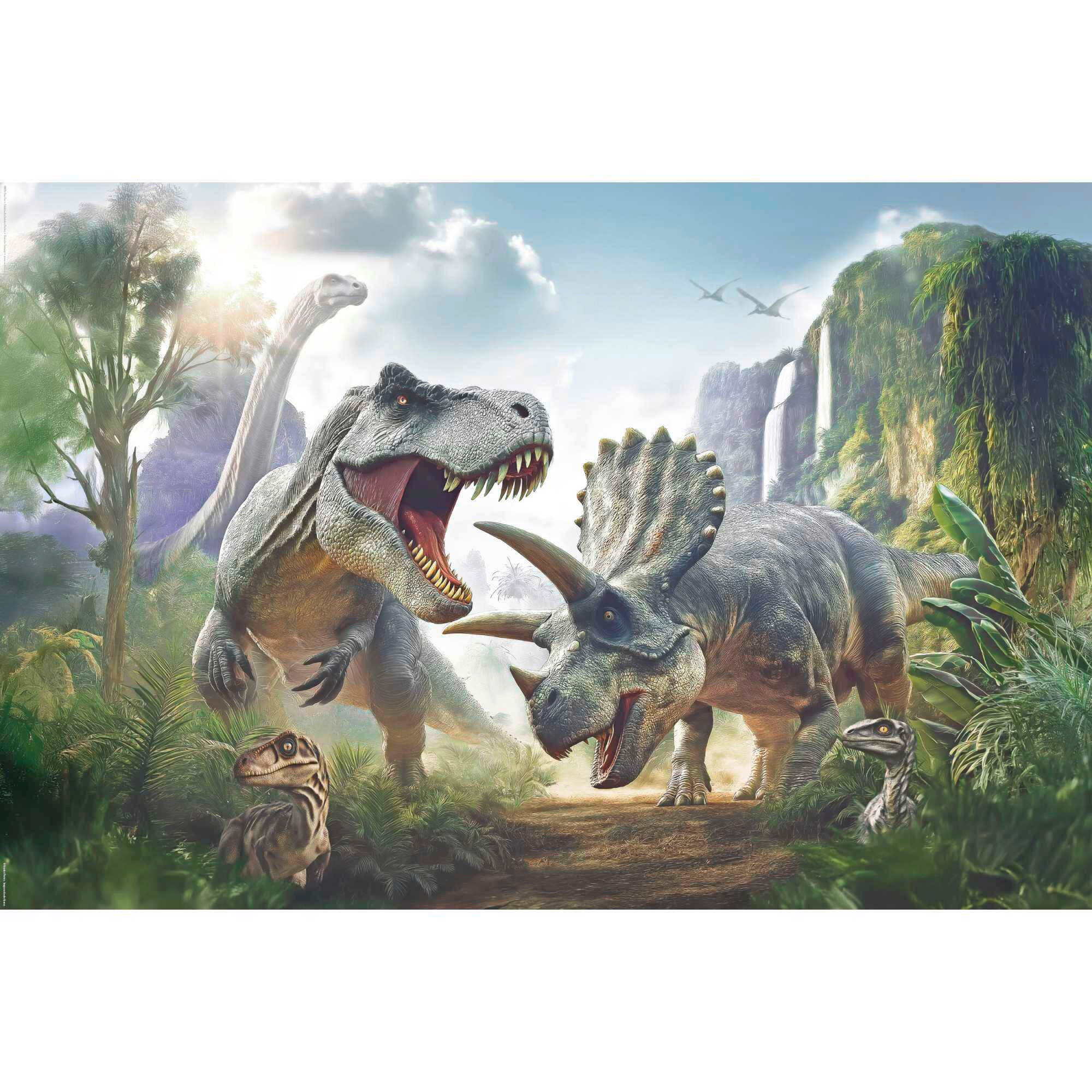 POSTER Multicolor  - Multicolor, LIFESTYLE, Papier (61/91,5cm) - Reinders!