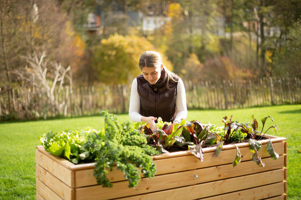 VYVÝŠENÝ ZÁHON   - farba smreka, Basics, drevo (70/90/170cm)