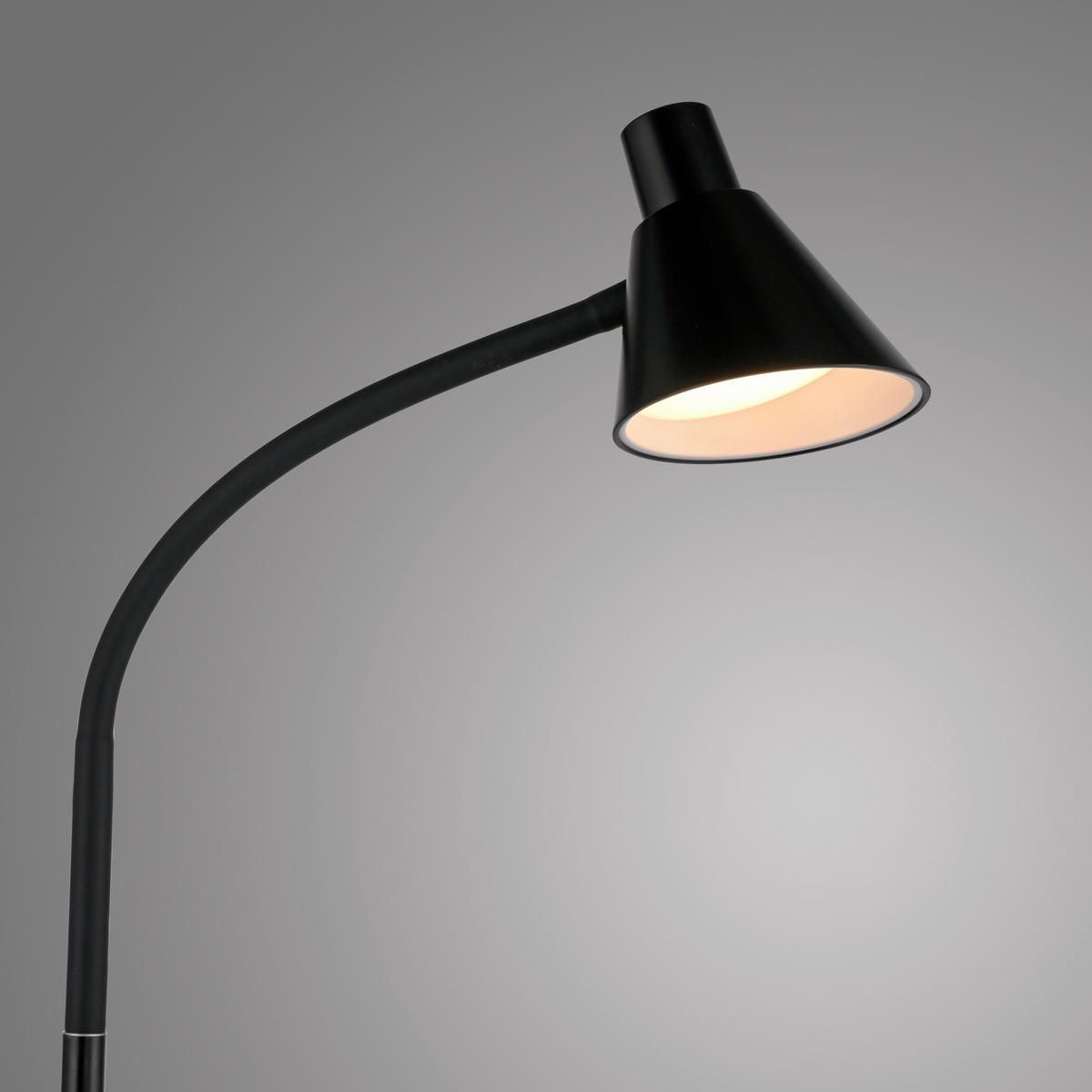PODNA LED LAMPA - crna, Osnovno, metal/plastika (43/43/150cm)