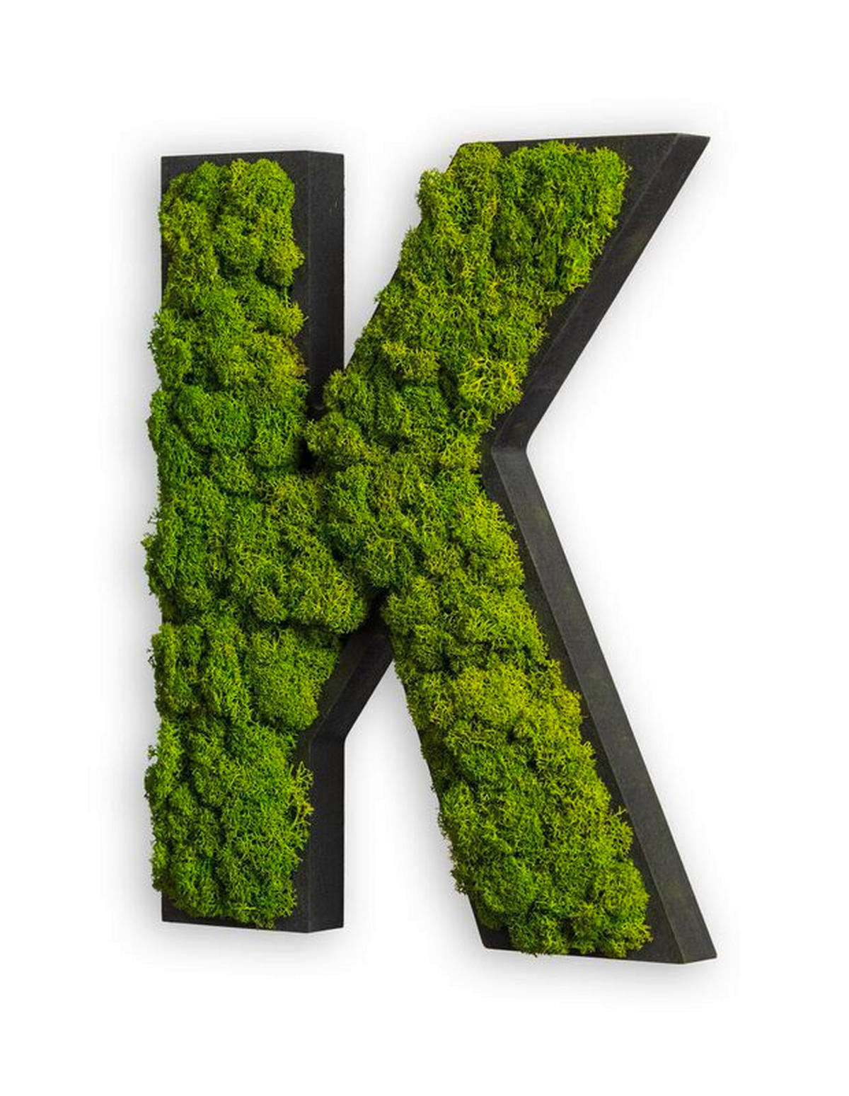 MOSSBILD Stylegreen  - grön/svart, Basics, trä/naturmaterial (26/20/4cm)