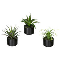 KUNSTPFLANZE Sukkulente 15 cm  - Schwarz/Grün, Design, Keramik/Kunststoff (15cm) - P & B