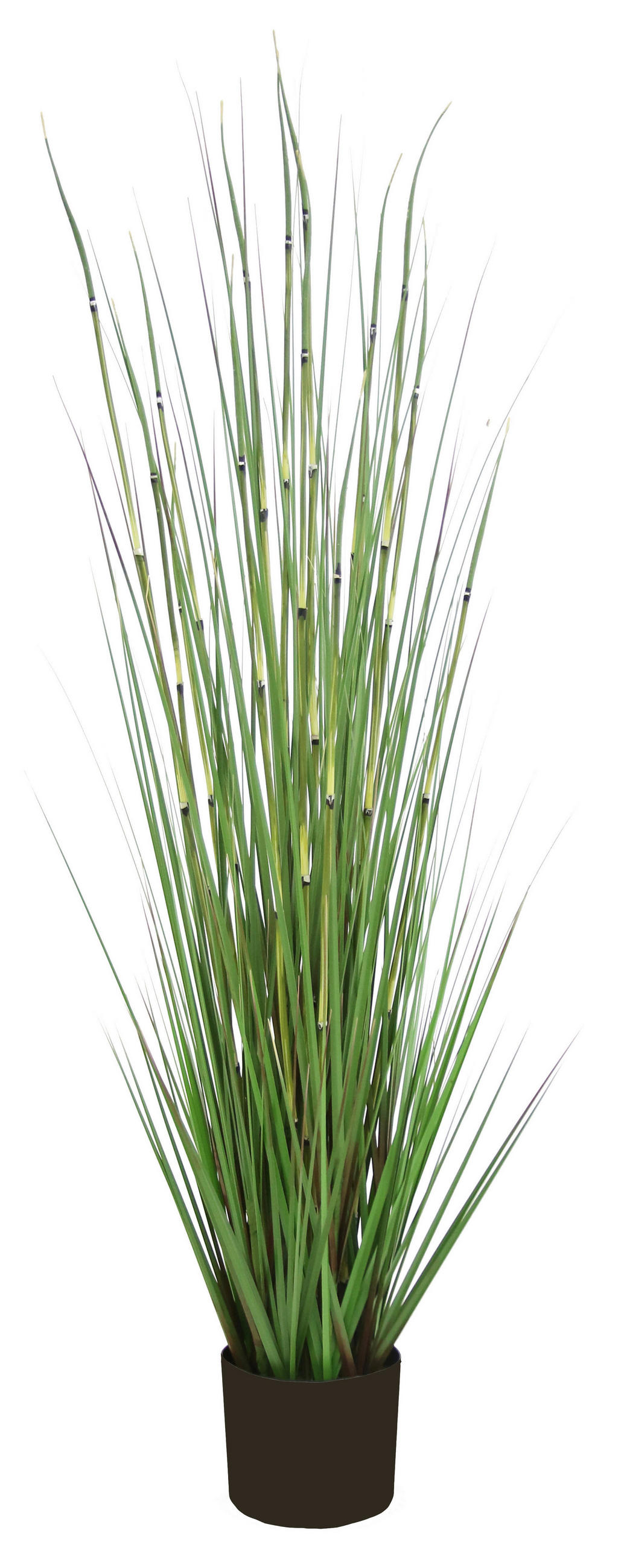Ambia Home Kunstpflanze Grün, Schwarz 120 cm