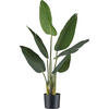 KUNSTPFLANZE Strelitzie 90 cm  - Schwarz/Braun, Design, Kunststoff (90cm) - P & B