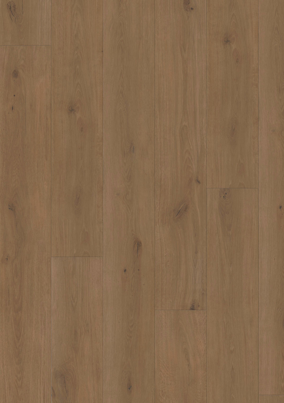 VINYLBODEN Elito Trend Eiche Cafe!Pur 100005401  per  m² - KONVENTIONELL, Holz (220/21,6/1cm) - Tilo