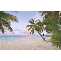 NON WOVEN-TAPET 400/250 cm  - Natur (400/250cm)