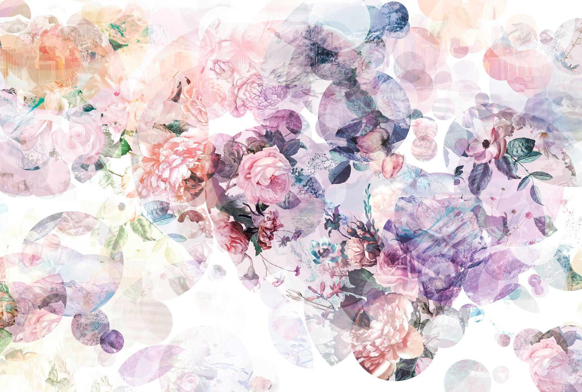 Komar Vliestapete Wish 368x248 cm