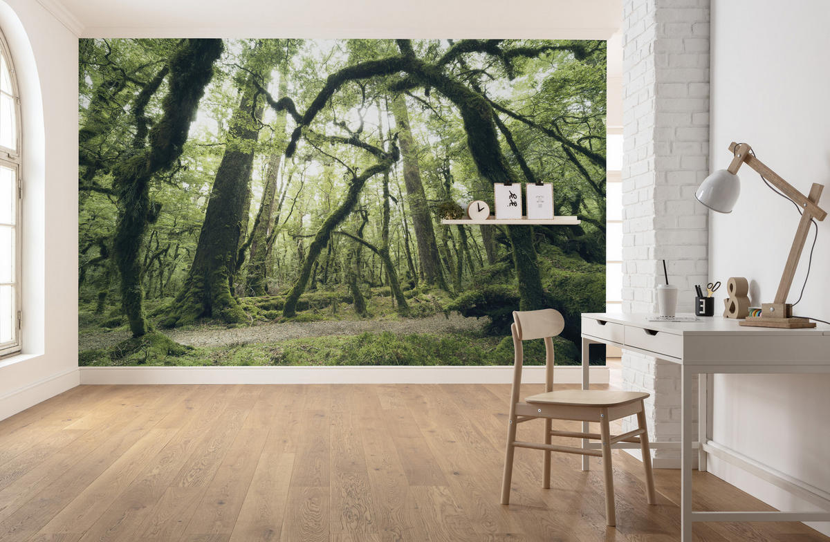 FOTOTAPETE - Grün, Trend, Textil (450/280cm)